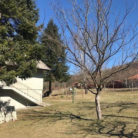 Apartman “Reka Gradac” Valjevo Exteriör bild