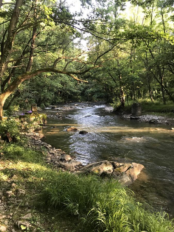 Apartman “Reka Gradac” Valjevo Exteriör bild