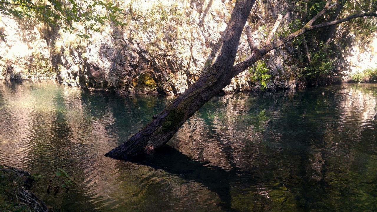 Apartman “Reka Gradac” Valjevo Exteriör bild