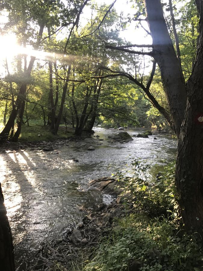 Apartman “Reka Gradac” Valjevo Exteriör bild